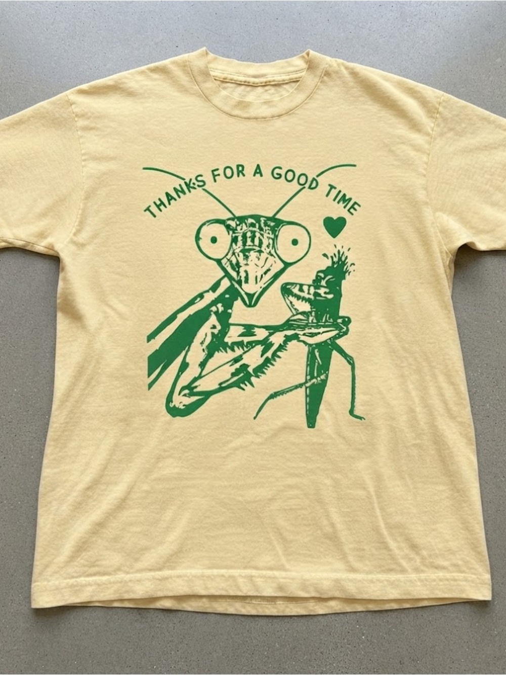 Funny Praying Mantis Bug Graphic Gildan Cotton T-Shirt
